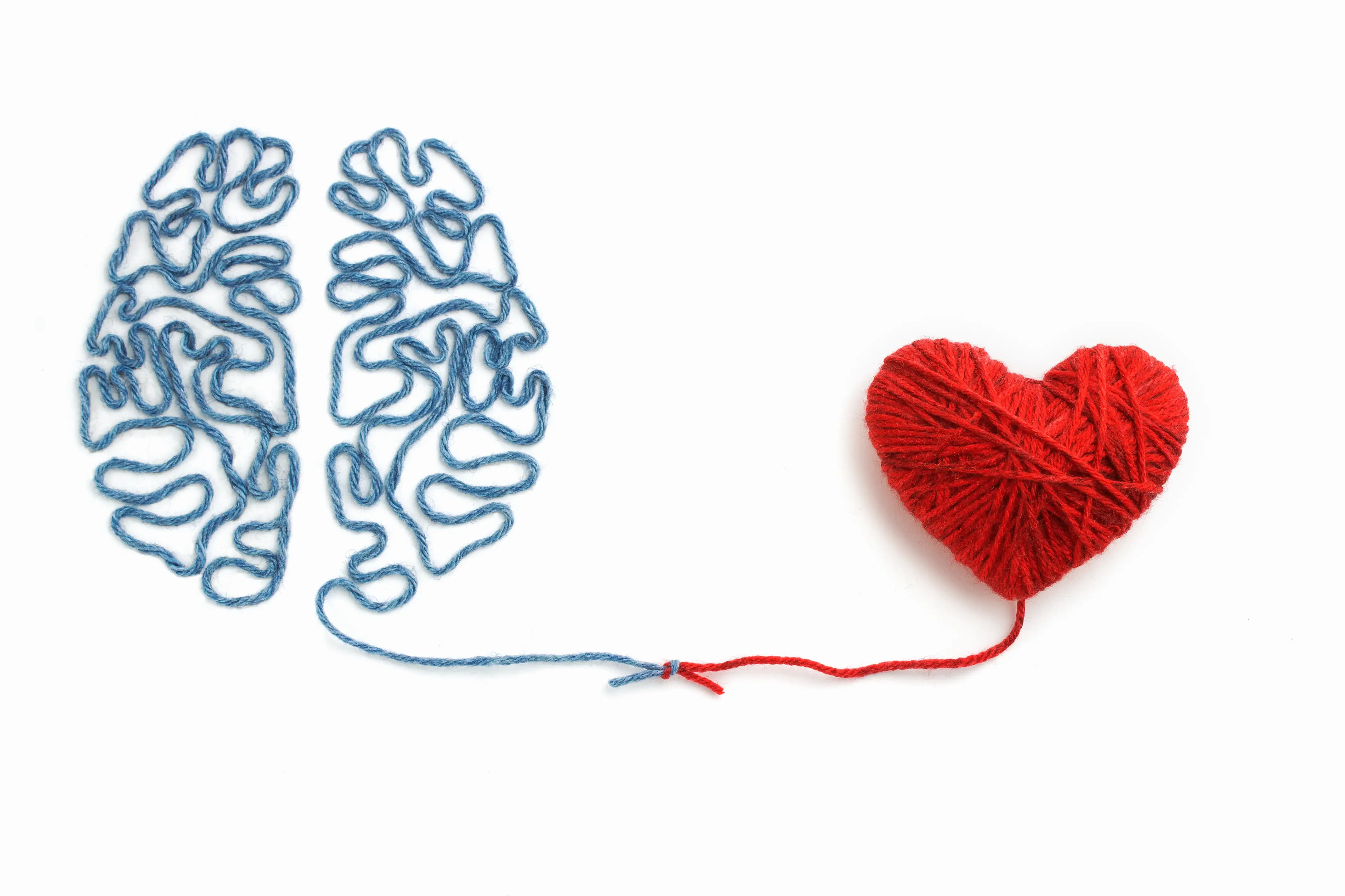 Cardiovascular disease