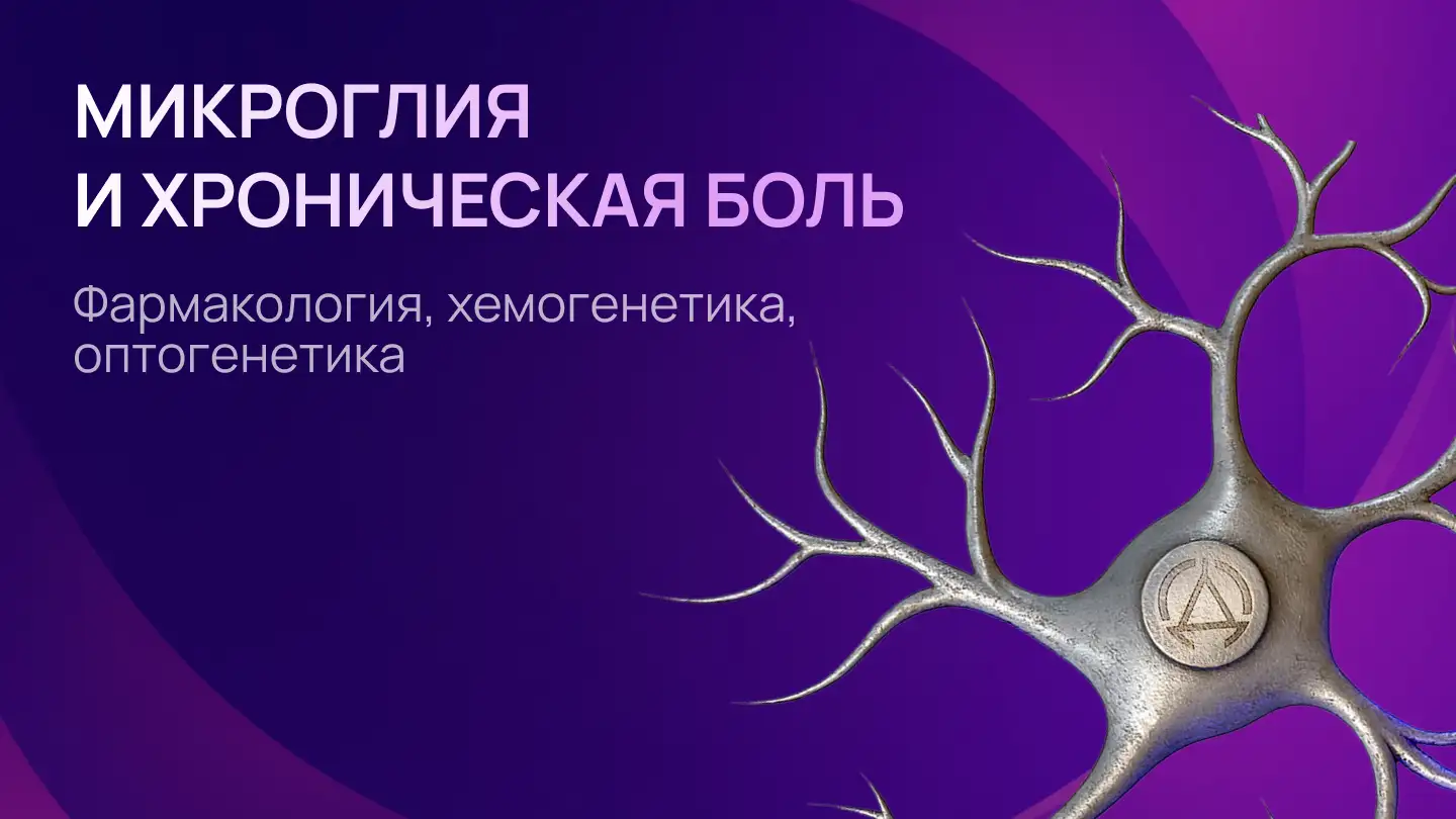 «Переключая» микроглию: путь к избавлению от хронической боли