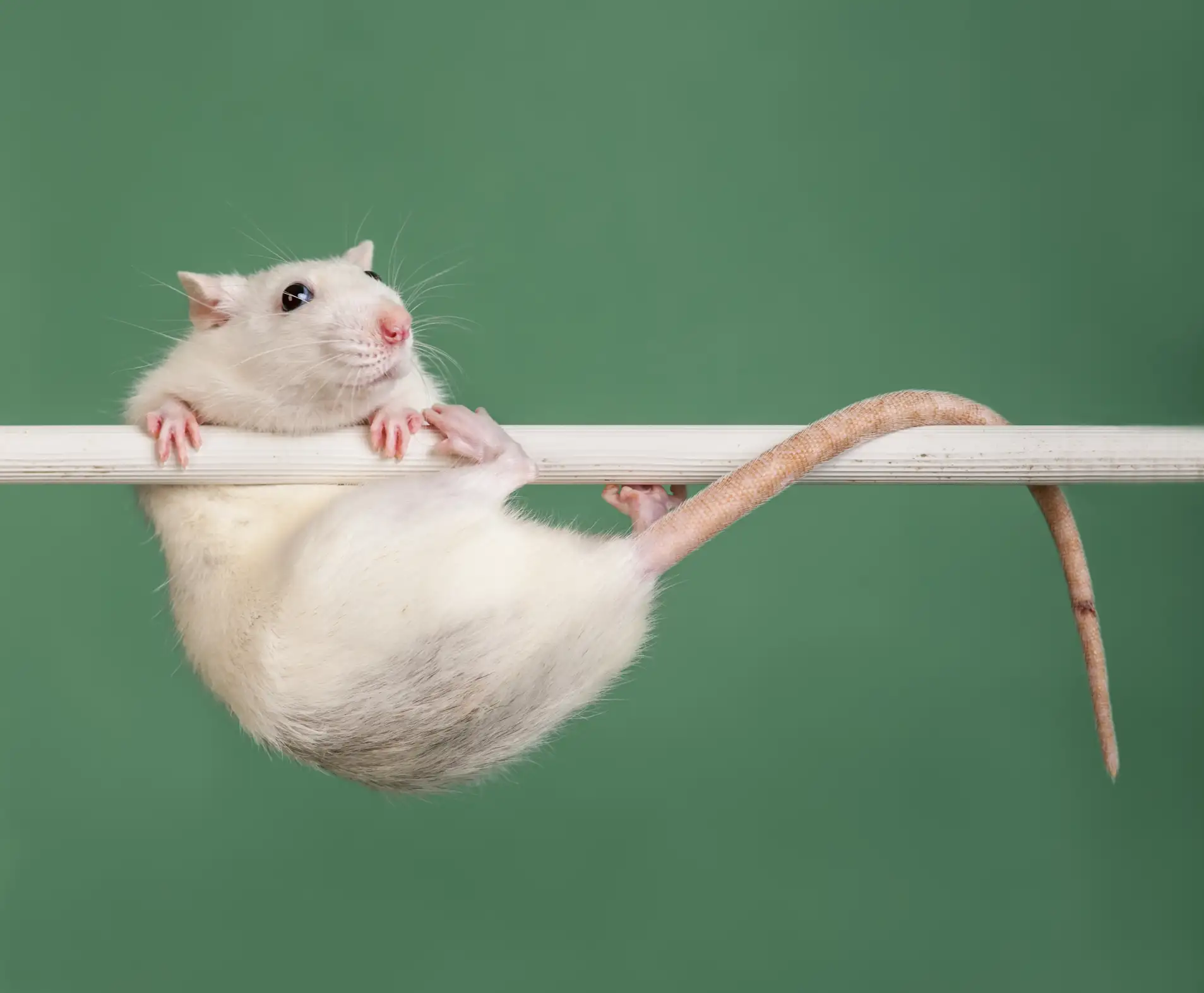 Революция в нейрореабилитации