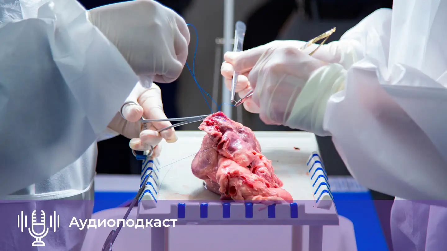 Ксенотрансплантация выходит на новый уровень