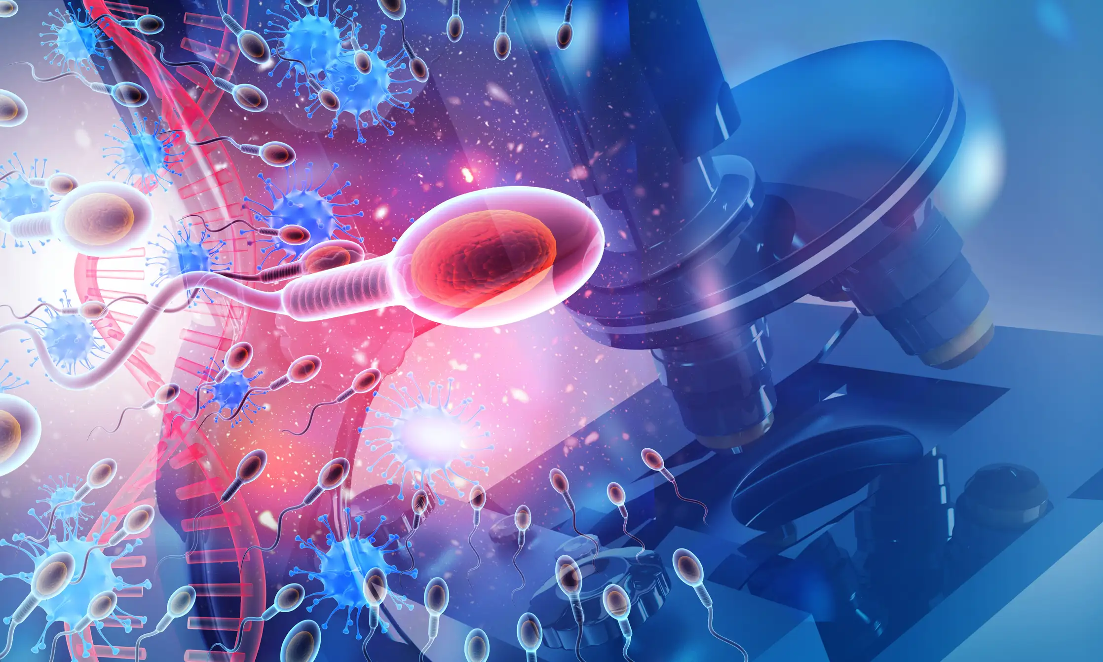 Магнитные сперматозоиды-роботы под прицелом рентгена