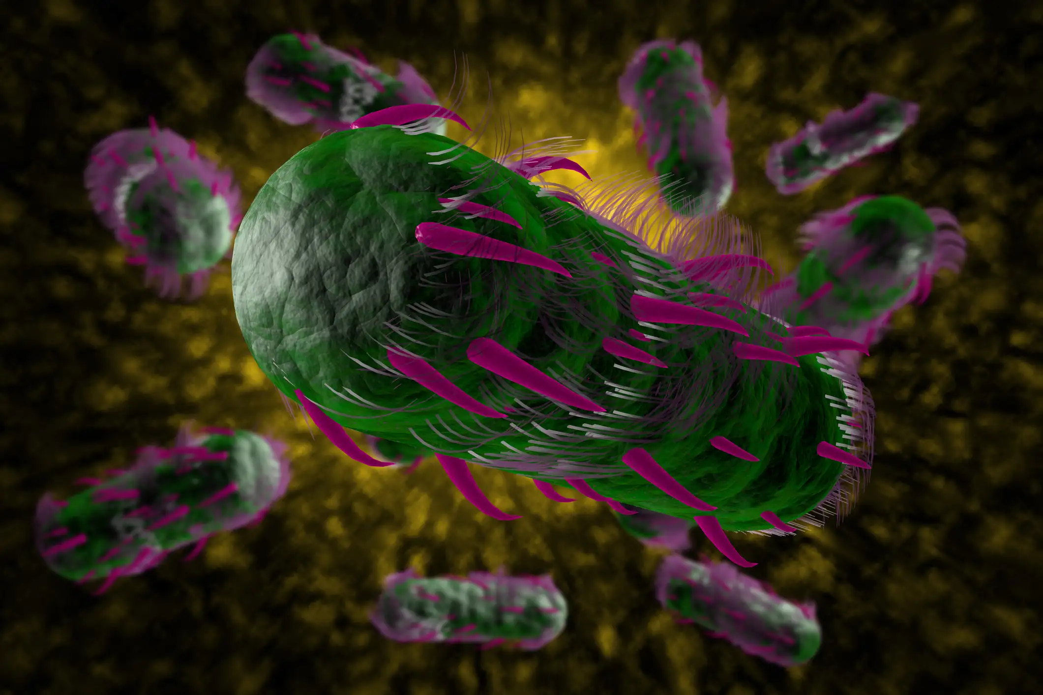 Влияние НПВП на развитие антибиотикорезистентности у Escherichia coli