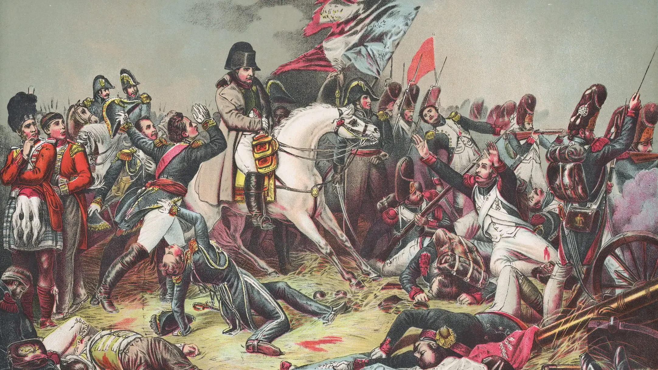 Какие болезни уничтожили войска Наполеона Бонапарта