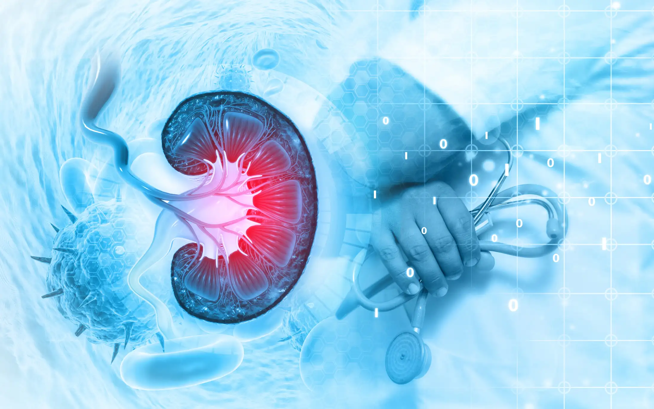 Интенсивная гипотензия при ХБП оправдана? Новые данные SPRINT