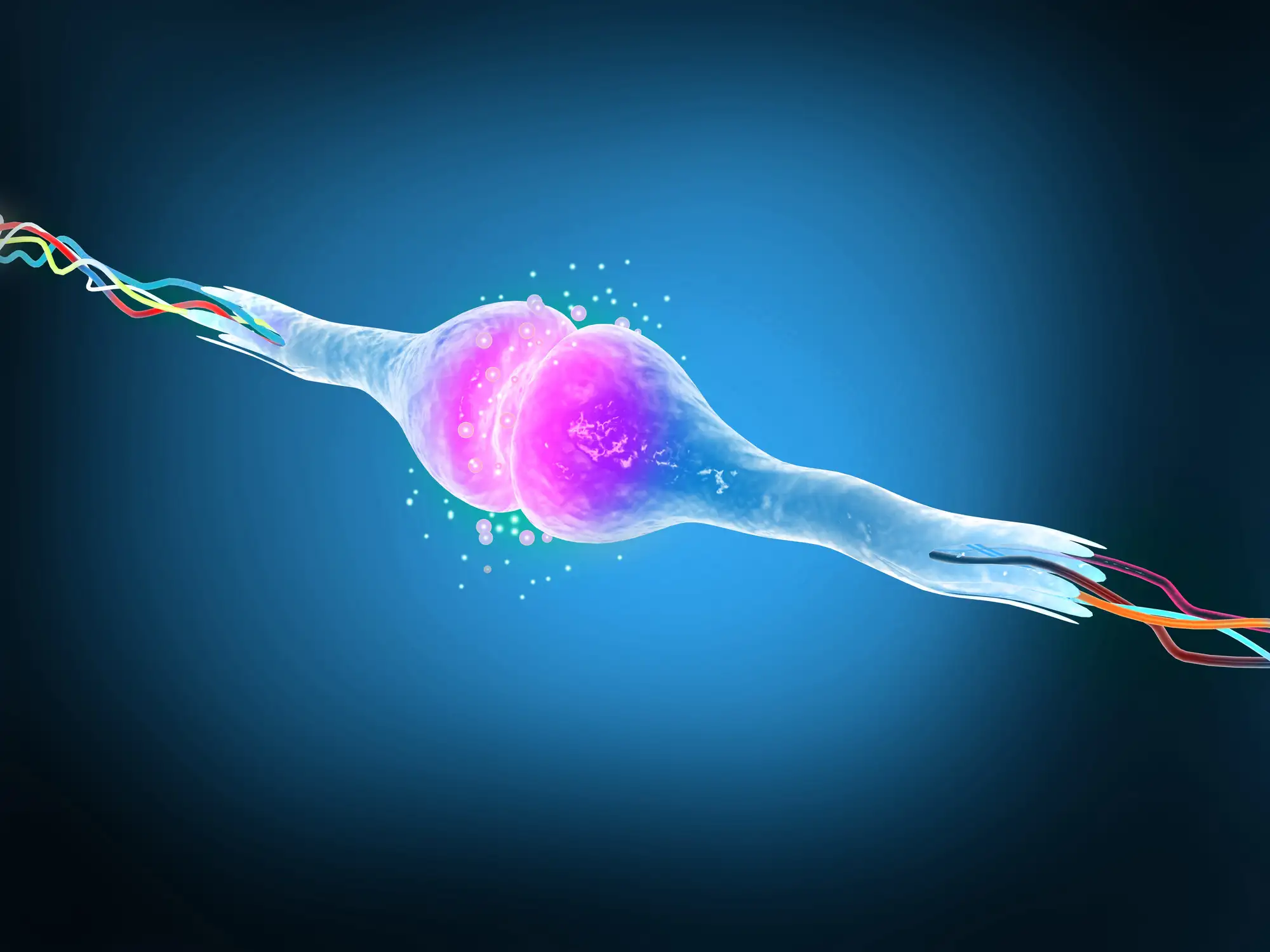 Новые данные о консолидации моторной памяти