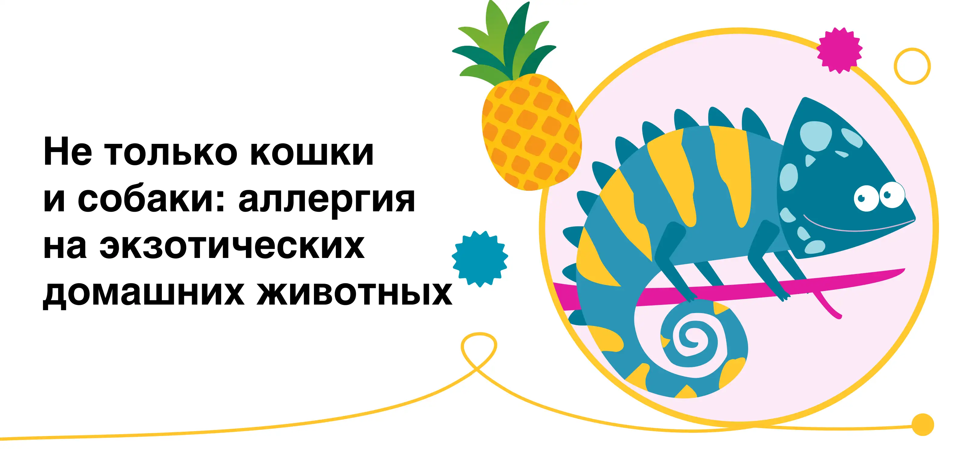 Не только кошки и собаки: аллергия на экзотических домашних животных Момат Рино Медзнат