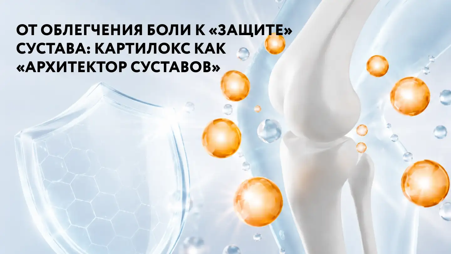 От облегчения боли к «защите» сустава: Картилокс как «архитектор суставов»