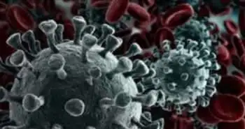 Вспышка новой коронавирусной инфекции 2019 года — международная чрезвычайная ситуация в области общественного здравоохранения