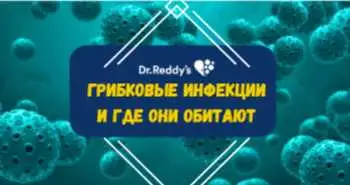 Цикл видео "Грибковые инфекции и где они обитают"