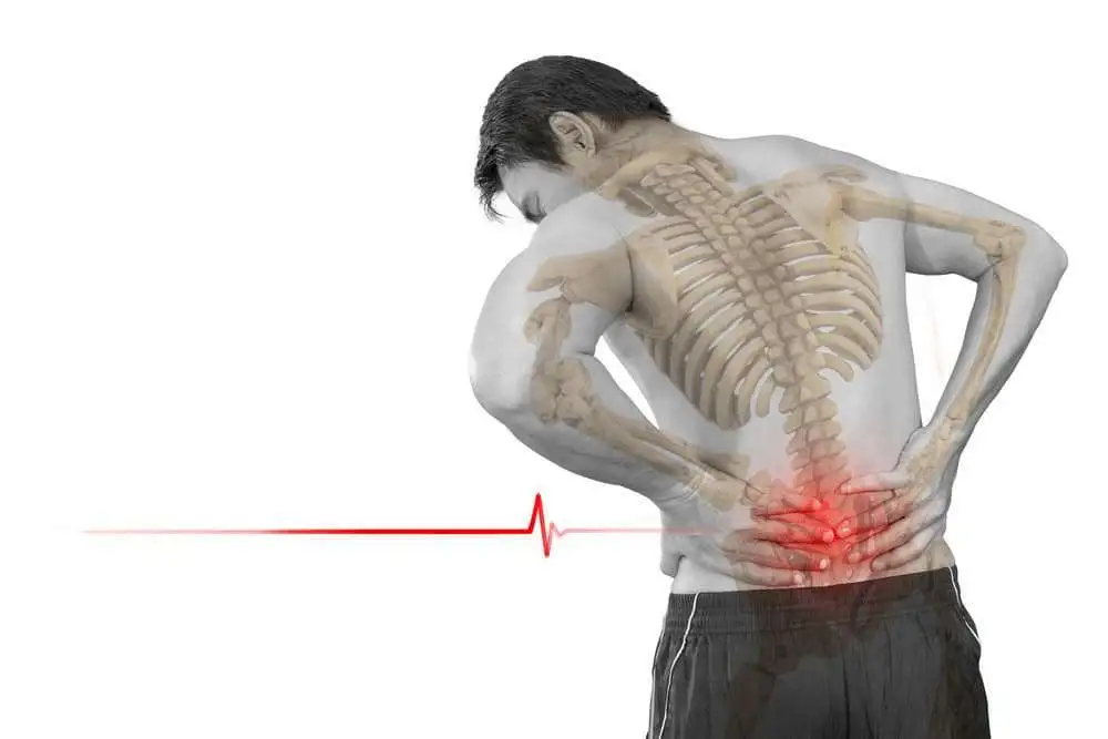 Нейрофизиологические аспекты патогенеза, вопросы диагностики и лечения боли в нижней части спины