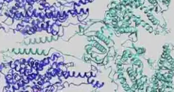 Нимесулид и SARS-CoV-2: есть ли связь?