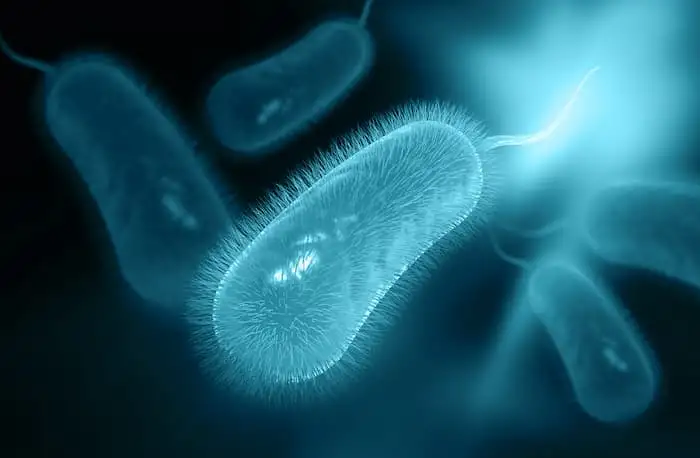 вызванная H. pylori