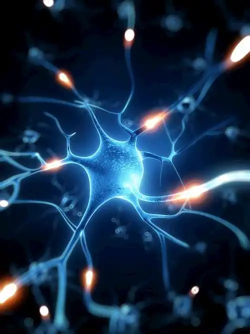 Может ли воздействие на клетки головного мозга быть эффективным методом лечения нейропатической боли?