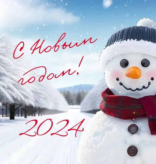 Новый год 2024