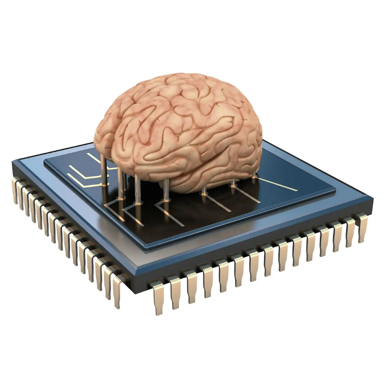 Разработан новый тип неинвазивного мозгового чипа
