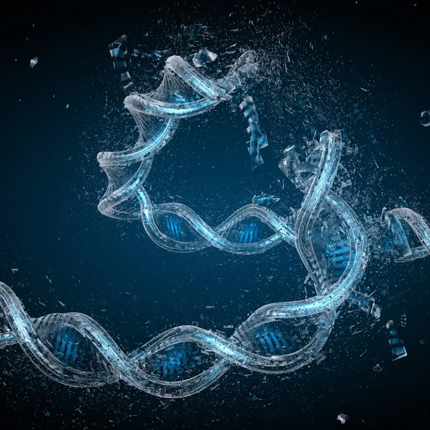 Учёные воссоздали механизм рекомбинации ДНК, нарушенный при онкозаболеваниях