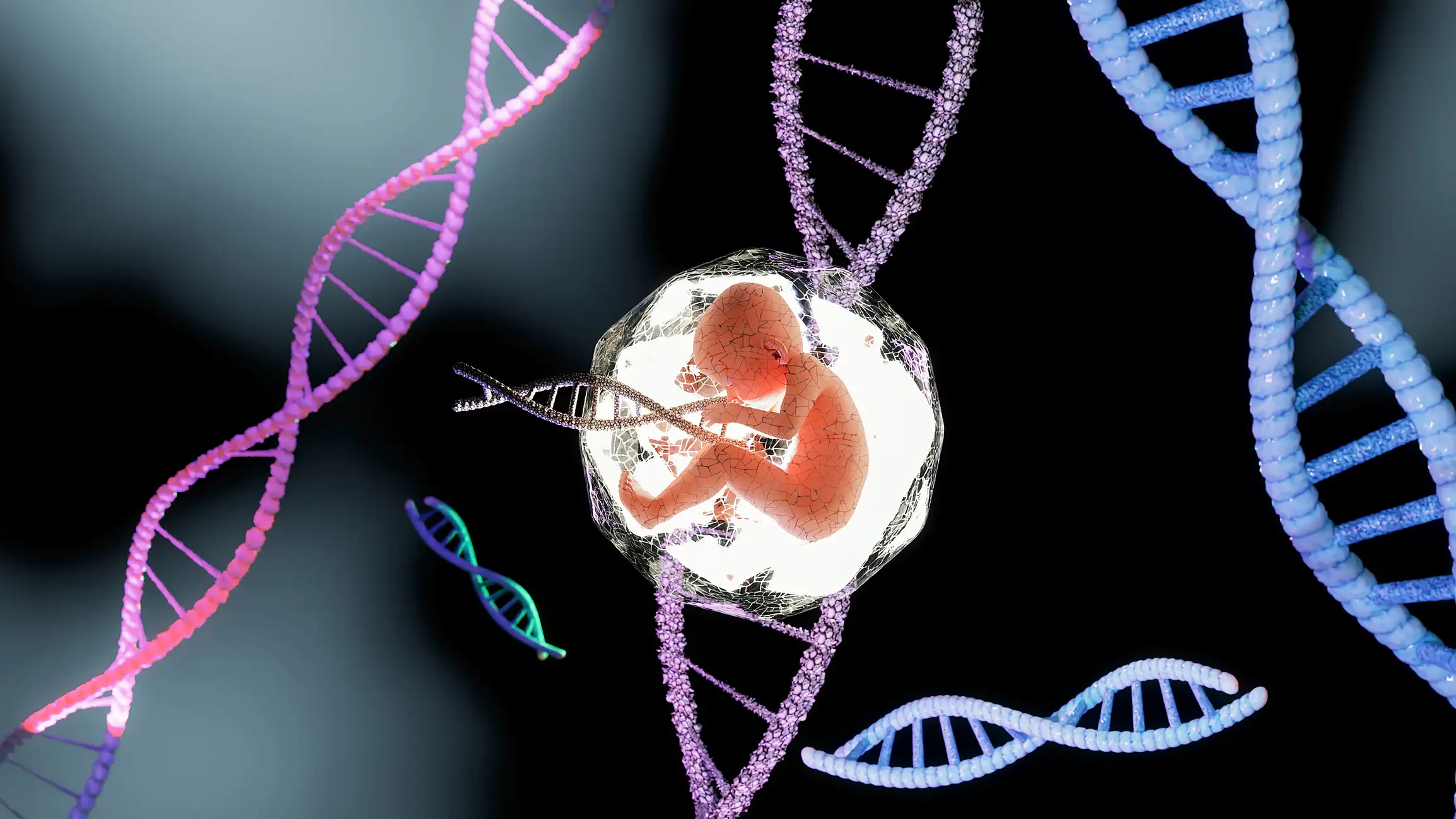 Создана модель эмбриона человека без использования половых клеток и матки