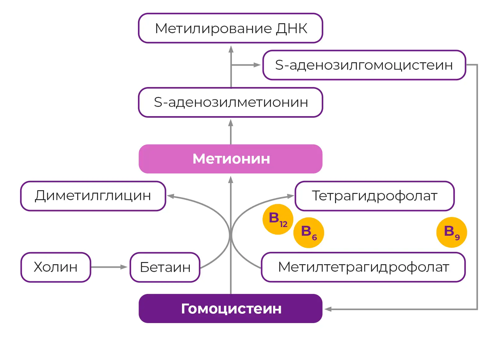 Недостаточно образованы