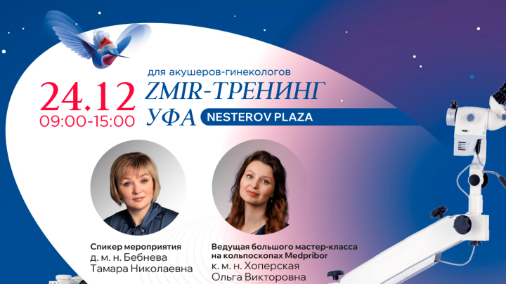 Первый предновогодний ZMIR-тренинг в Уфе!